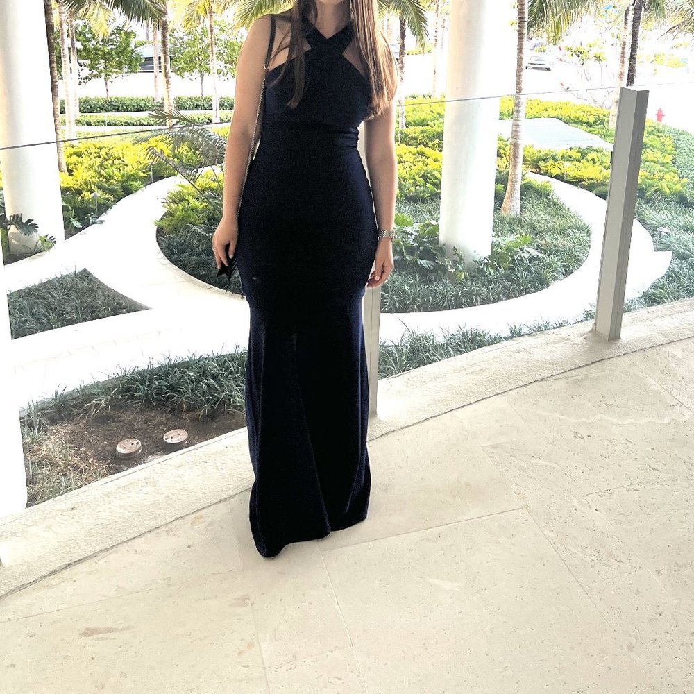 Betsy Adam Dress